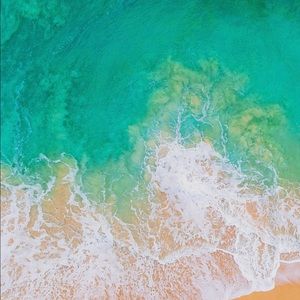 Meet your Posher, Darnell